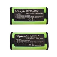2 Pack Replacement Battery for Sony MDR-RF4000 Headphone (700mAh, 2.4V, Ni-MH)