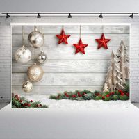 Hemker Portable Print Christmas Style Collapsible Photography Background For Shooting Party Games & Activities