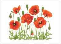 NW Pitney Ink Poppy Birthday Card, 7 x 5" (1256HB)