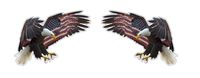 Bald Eagle USA US Wing Flag Sticker Decal (2 to 8 Stickers) Patriotic America/Plus Coconut Shell Keychain/Car Truck Bumper Bike Notebook Helmet Toolbox (2 Stickers (1x Left&1x Right) 6"x4.35")