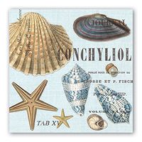 Michel Design Works 20-Count 3-Ply Paper Luncheon Napkins, Seashells