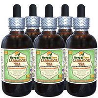 Labrador Tea (Ledum Groenlandicum) Glycerite, Dried Leaves Alcohol-Free Liquid Extract (Brand Name: HerbalTerra, Proudly Made in USA) 5x2 fl.oz (5x60 ml)