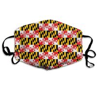 NUNOFOG Maryland State Flag Unisex Safety Masks Washable and Reusable Cleaning Gardening Dust Respirator Mouth Masks for Men Women One Size