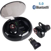Wireless Earbuds, IPX5 Waterproof and sweatproof, Version 5.0 Charging Box True Stereo Wireless Bluetooth Headset 20 Hours Playback time, DSP Noise Reduction Technology, Built-in Microphone(Black)