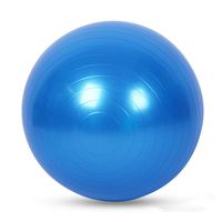 Exercise Ball for Yoga, Fitness, Balance Stability, Extra Thick Professional Grade Balance & Stability Ball - Anti Burst, Workout Program 2019 (Blue, 45cm)