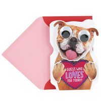 Hallmark Funny Valentine's Day Card (Dog with Googly Eyes)