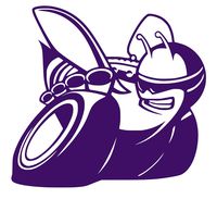 UR Impressions VLT RF - Scat Pack Bee Decal Vinyl Sticker Graphics for Cars Trucks SUV Walls Windows Laptop|Violet|5.5 X 5.1 inch|URI343-V