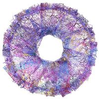 Outdoorfly 50PCS Organza Jewelry Gift Bag 4x6 Inches Purple Coralline Pattern Drawstring Pouches for Candy Chocolate Party Christmas Howllween Wedding Favor Bags（Purple Coralline 50PCS）