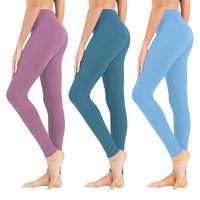 High Waisted Leggings for Women - Soft Athletic Tummy Control Pants for Running Cycling Yoga Workout - Reg & Plus Size (3 Pack Cade Blue, Light Sky Blue, Thistle, Plus Size (US 12-24))