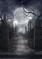 Fanghui Halloween Theme Photography Background Spooky Halloween Dark Horror Moon and Dead Trees Party Decoration Photo Studio Props Backdrops Booth Vinyl 5x7 ft
