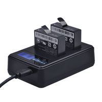 PowerTrust 2-Pack AZ16-1 Replacement Battery and LCD Dual USB Charger for XiaoYi 4K 2 Action Camera