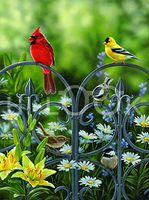 Hi-Look Microfiber Cleaning Cloth - Summer Companions