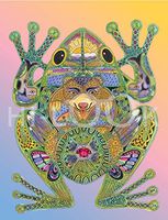 Hi-Look Microfiber Cleaning Cloth - Frog