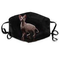 Unisex Unique Mouth Mask - Cute Canadian Cat Pattern Polyester Anti-dust Masks - Fashion Washed Reusable Face Mask for Outdoor Cycling