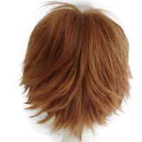 Alacos Unisex Cosplay Short Straight Hair Wig Girl Boy, Brown, Size One Size