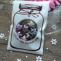 UTENEW Resealable Cellophane Bags Self-Adhesive Sealing Treat Bags 100PCS OPP Plastic Bags for Bakery, Candy, Soap, Cookie, White