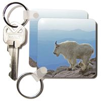 3dRose Colorado, Mt Evans. Mountain goats, Rocky Mtns - US06 BJA0030 - Jaynes Gallery - Key Chains, 2.25 x 4.5 inches, set of 4 (kc_88815_2)