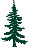 Pine Tree Vinyl Decal - 8 Inches - For Cars, Trucks, Windows, Laptops, Tablets - High Quality, Outdoor-Grade 2.5mil Thick Vinyl - Dark Green