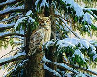 Hi-Look Microfiber Cleaning Cloth - snowy Perch