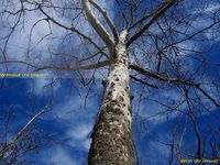 UV (Haze) 1A Multicoated | Multithreaded Glass Filter (52mm) For Samsung NX30