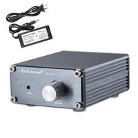Nobsound 100W Full Frequency Mono Channel Digital Power Amplifier Audio Mini Amp Home Speaker with Power Supply (Gray)