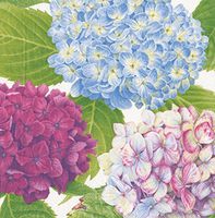 Dinner Napkins Paper Napkins Baby Shower Wedding Shower Birthday Party Hydrangea Blue Pk 40