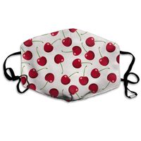Fresh Red Cherry Dust Mask,Washable and Reusable Cleaning Gardening Outdoor Activities Warm Windproof Mask