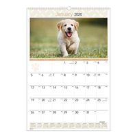 AT-A-GLANCE 2020 Monthly Wall Calendar, 15-1/2" x 22-3/4", Large, Puppies (DMW16728)