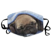 Hongclever Mouth Masks Dog Reusable Washable Earloop Mask,Face Cover for Outdoor Sun Anti Dust Allergy