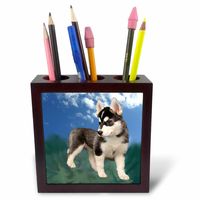 3dRose LLC Pen Holder (ph_4439_1)