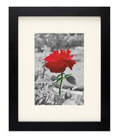 Golden State Art, Set of 10, 8x10 Photo/Picture Frame with Ivory Mat for 5x7, Black