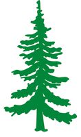 hBARSCI Pine Tree Vinyl Decal - 5 Inches - for Cars, Trucks, Windows, Laptops, Tablets, Outdoor-Grade 2.5mil Thick Vinyl - Green