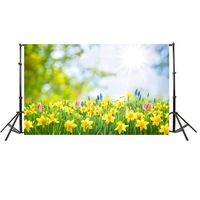 Iusun Easter Day Backdrops For Photography, Easter Day Theme Vinyl Photography Backdrop Custom Photo Background Props (L)