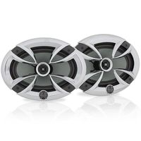 Brand-X L69CX 6'' X 9'' Point Source Coaxial Speaker System