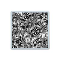 XIANN Care Contact Lens Box Holder Container Case Storage Eyecare Kit -Black Zebra Print