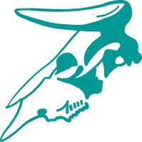 hBARSCI Cow Skull Vinyl Decal - 5 Inches - for Cars, Trucks, Windows, Laptops, Tablets, Outdoor-Grade 2.5mil Thick Vinyl - Turquoise