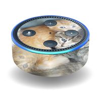 MightySkins Skin Compatible with Amazon Echo Dot (2nd Gen) - Kittens | Protective, Durable, and Unique Vinyl Decal wrap Cover | Easy to Apply, Remove, and Change Styles | Made in The USA