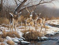 Hi-Look Microfiber Cleaning Cloth - Watchful Trio