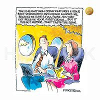 Hi-Look Microfiber Cleaning Cloth - Inflight Meal