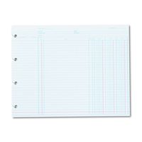 Wilson Jones N2D Accounting, 9-1/4 x 11-7/8 (Pack of 100 Loose Shoots)