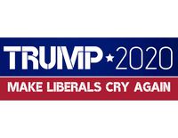 MissFun Trump 2020 Make Liberals Cry Again Vehicle Stickers 10 pcs