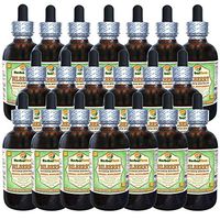 Bilberry (Vaccinium Myrtillus) Glycerite, Dried Berries Alcohol-Free Liquid Extract (Brand Name: HerbalTerra, Proudly Made in USA) 20x4 fl.oz (20x120 ml)