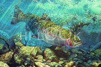 Hi-Look Microfiber Cleaning Cloth - Nymphing in the Run - Rainbow Trout