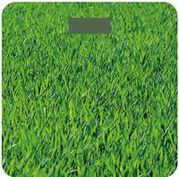 Fresh Egg Studio Digital Body Weight Bathroom Scale Includes Battery + 1 Spare! Step-On Technology, Modern Design and Accurate in Lbs Kg or Stone