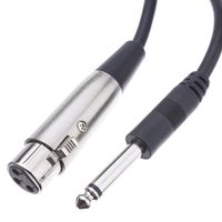 ACL 6 Feet XLR Female to 1/4 Inch Mono Male Audio Cable, Black