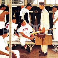 Hi-Look Microfiber Cleaning Cloth - Locker Room