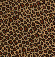 Gift Wrapping Safari Big Cat Leopard Print Tissue Paper