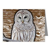 Note Card Snow Owl