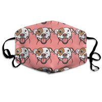 Washable Reusable Safety Mask, Cotton Anti Dust Half Face Mouth Mask for Kids Teens Men Women Lovers Dustproof with Adjustable Ear Loops（Pit Bull Smile ）