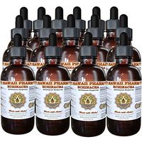 Echinacea (Echinacea Purpurea) Liquid Extract 15x4 oz